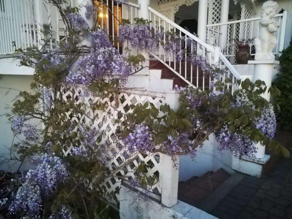 Vancouver Island Castle Cove Inn シュメイナス エクステリア 写真